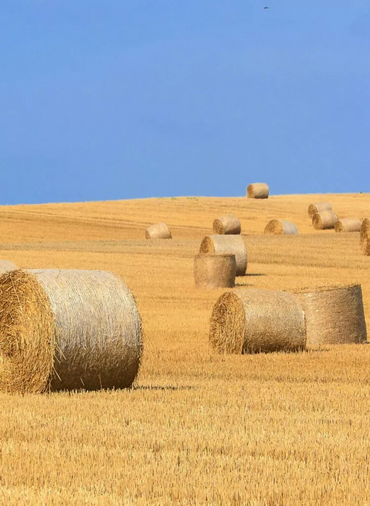 bale field agriculture